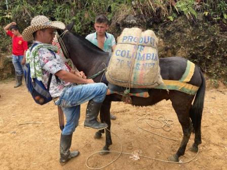 Sonsón Camino del Magdalena